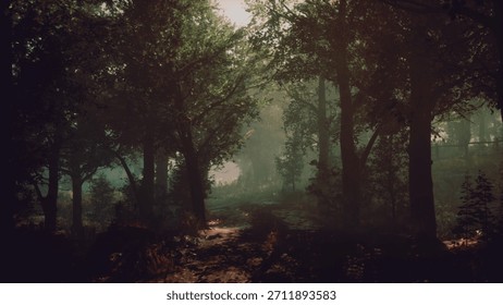 A serene forest path winds through tall trees, bathed in a warm glow from sunlight breaking through the leaves. The atmosphere feels calming and peaceful, inviting exploration.