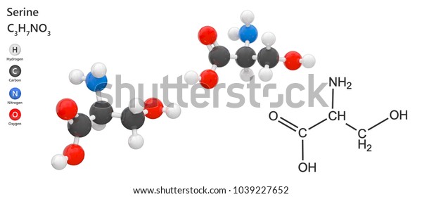 セリン 分子式 C3h7no3 はヒトにおける非必須アミノ酸である 体内で合成される 白い背景に 3dイラスト のイラスト素材