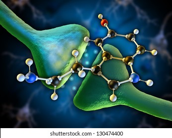 Serotonin Molecule As A Neurotransmitter In The Human Brain. Digital Illustration.