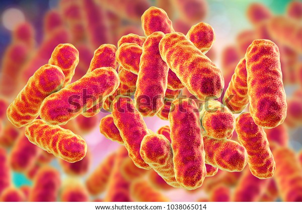 Serratia Marcescens Bacteria Gramnegative Rodshaped Bacteria Stock