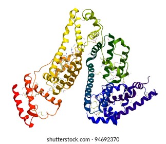 Serum Albumin Molecular Structure On A White Background