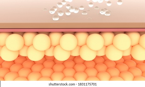 Serum Through Skin Layer In 3d Style Skin Repair Concept Human Health 3d Rendering