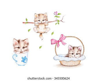 Set of 3 cute kittens