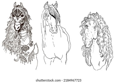Set 3 Horse Heads Lush Mane One Line Drawing Children Book. Linear Horse For Coloring Cover Design. Line Art Wild Animal. Horse Racing, Animal Training. Hobby Pet Grooming, Pedigree Horse Show