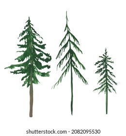 Set Of 3 Pine Trees Isolated On A White Background. Watercolor Evergreen Plants. Scotch Fir Illustration. Christmas Tree Clipart. Landscape Scene Objects. Hand-drawn Green Pine Tree Illustration.