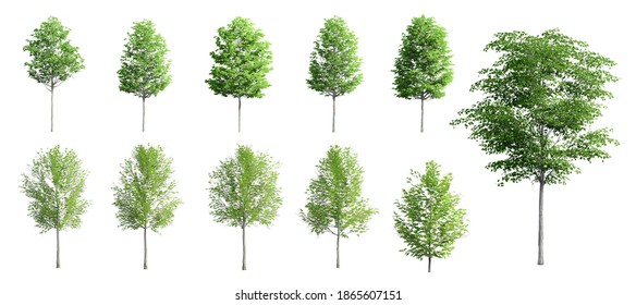 Set 3d Trees Isolated On White Stock Illustration 1865607151 | Shutterstock