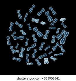 Set Of 46 Human Chromosomes Isolated On Black Background. Realistic 3D Illustration.