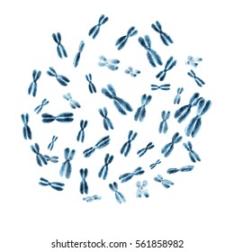 Set of 46 human chromosomes isolated on white background. 3D illustration