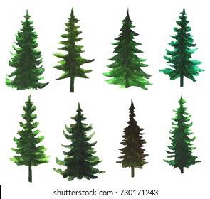 Evergreen Tree Images, Stock Photos & Vectors | Shutterstock