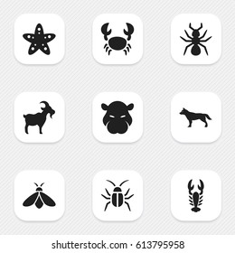 Set Of 9 Editable Nature Icons. Includes Symbols Such As Bedbug, Dog, Crawfish And More. Can Be Used For Web, Mobile, UI And Infographic Design.