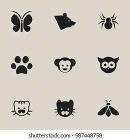 Set Of 9  Nature Icons. Includes Symbols Such As Bird, Arachind, Moth And More. Can Be Used For Web, Mobile, UI And Infographic Design.