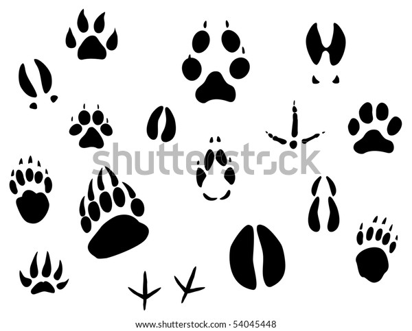 Set Animal Footprints Ecology Design Logo Stock Illustration 54045448