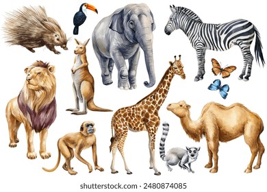 Set animals watercolor. Wildlife cute animal, Hand painted zoo clipart camel, kangaroo, lion, monkey, elephant and lemur - Powered by Shutterstock