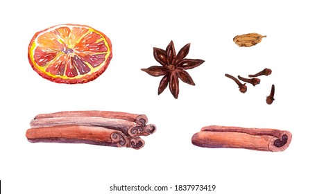 Set Of Baking Spices - Stick Of Cinnamon, Rolls, Cloves, Anise, Cardamom, Orange Fruit Slice. Watercolor Food Ingredient Bundle