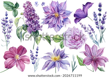 Similar – Image, Stock Photo purple lilac Violet Spring