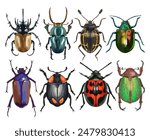 Set of beautiful insects. Colored realistic collection of various bugs on a transparent background.