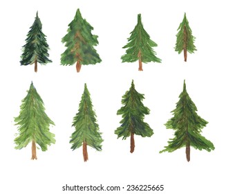 Set of beautiful spruces painted watercolor. Can be used for Christmas design or drawing coniferous forests. 