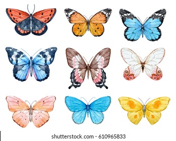 Set of beautiful watercolor butterflies.  blue, yellow, pink and red butterfly illustration