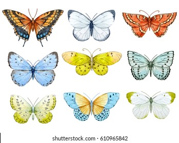 Set of beautiful watercolor butterflies.  blue, yellow and red butterfly illustration