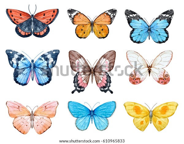 美しい水彩の蝶のセット 青い黄色 ピンク 赤い蝶イラスト のイラスト素材 610965833