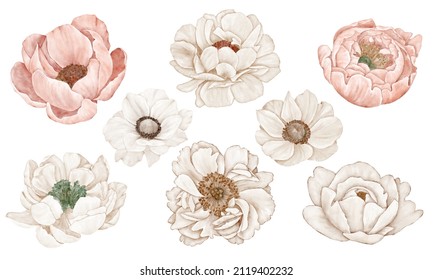 Set of beige and pink flowers