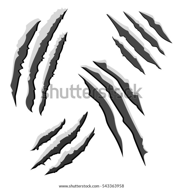 白い背景に黒い爪の傷のセット グラフィックイラスト のイラスト素材