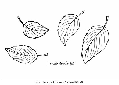 Set of black line leaves on white background clipart. Doodle sketch illustration. Floral Herb Design elements. Botanical forest plants tree foliage. Autumn