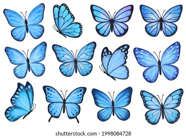 Conjunto mariposas azules aisladas