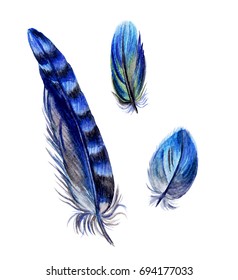 Blue Bird Feathers On White Background Stock Illustration 1879464028 ...