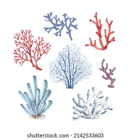 Set Of Blue And Red Corals On A White Background, Watercolor Illustration.