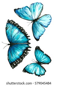 Illustration Blue Butterfly Painted By Hand Stock Illustration 579045535