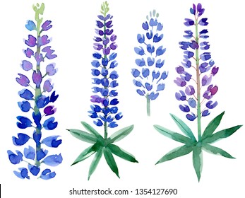 Set Of Bluebonnet Flowers. Watercolor Hand Drawn Illustration On White Background