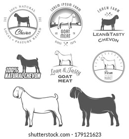 Set of boer goat labels, badges and design elements