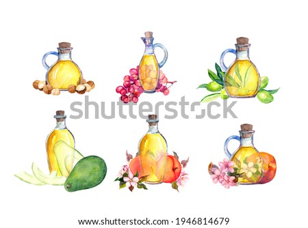 Set of bottles with basic oils. Grape, olive, apricot, peach, avocado and macadamia oil. Cosmetic, medical watercolor collection, bundle