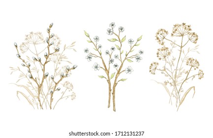 Set with bouquet dry herbs, willow branches and twigs with flowers isolated on white background. Watercolor hand drawn illustration