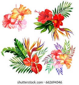 Set Of Bouquets With Tropical Flowers.watercolor