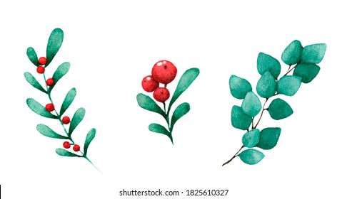 Set Of Branch With Winter Berries Isolated On White.