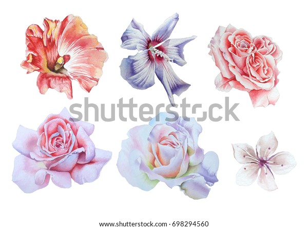 明るい花をセット ローズ ハイビスカス 水彩イラスト 手描き のイラスト素材
