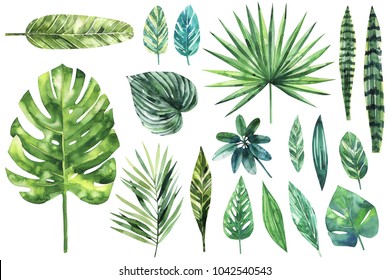 Set Of Bright Watercolor Tropical Leaves. Leaves And Branches From The Jungle.