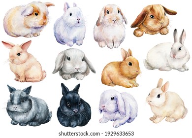 Set of bunnies on an isolated white background, painted with watercolor. Easter rabbits