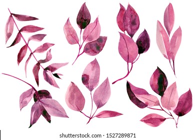 Set of burgundy and pink abstract leaves of eucalyptus on an isolated white background, autumn clipart, watercolor painting, hand drawing