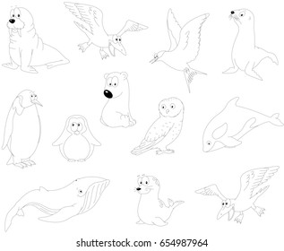 Set Cartoon Polar Animals Coloring Book Stock Illustration 654987964