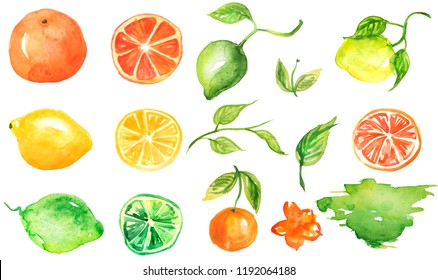 果物 輪切り のイラスト素材 画像 ベクター画像 Shutterstock