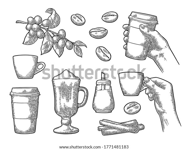 Set coffee. Glass latte macchiato with whipped\
cream and cinnamon stick. Hand hold cup. Branch with leaf, berry,\
beans. Sugar. Vintage black engraving illustration isolated on\
white background