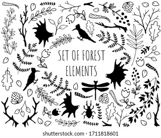 Set collection forest elements - herbs, leaf, flowers, branches. Black and white Illustration for coloring page.