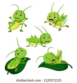 Set Collection Grasshopper Cartoon