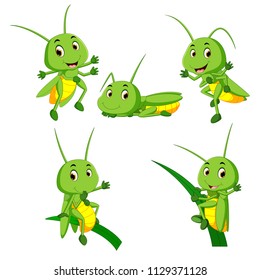 Set Collection Grasshopper Cartoon