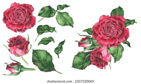 Un conjunto composición rosas
