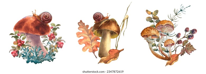 Set of compositios with mushrooms, Forest chanterelle mushrooms, porcini, honey mushroom with Cranberry bushes and autumn leaf. Watercolor hand drawn illustration. Isolated on a white background