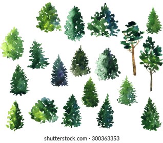 Set Conifer Trees Drawing By Watercolor Stock Illustration 300363353